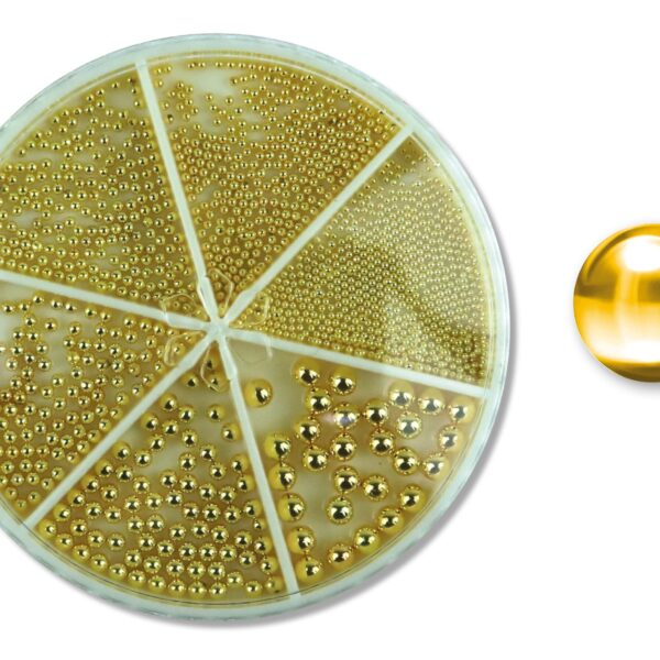 Caviar carrusel diferentes medidas (Dorado)