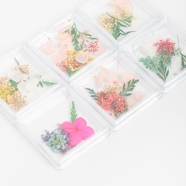 Flores secas - City Girl 113391